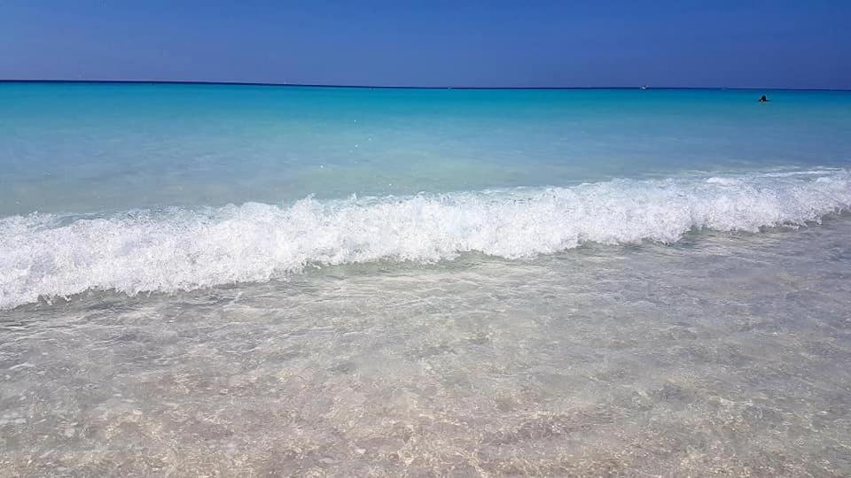 Agriturismo Il Poggio Casale Marittimo Eksteriør billede