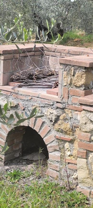 Agriturismo Il Poggio Casale Marittimo Eksteriør billede