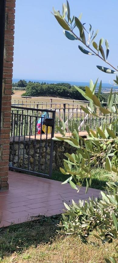 Agriturismo Il Poggio Casale Marittimo Eksteriør billede